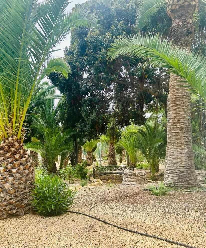 Sol Mediterraneo Palm Beach 3 Villajoyosa Bagian luar foto