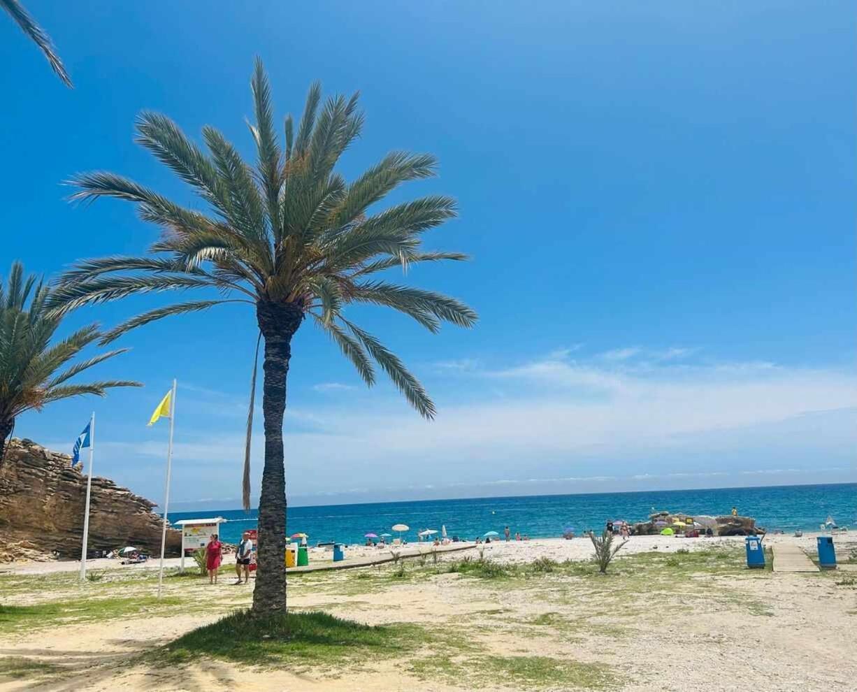 Sol Mediterraneo Palm Beach 3 Villajoyosa Bagian luar foto
